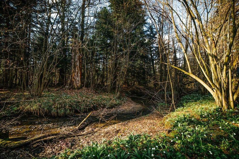 ''Forest House '' Будинок Для Відпочинку Truskavec' Esterno foto