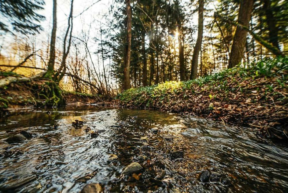 ''Forest House '' Будинок Для Відпочинку Truskavec' Esterno foto